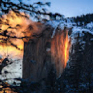 Meet your Posher, Danika